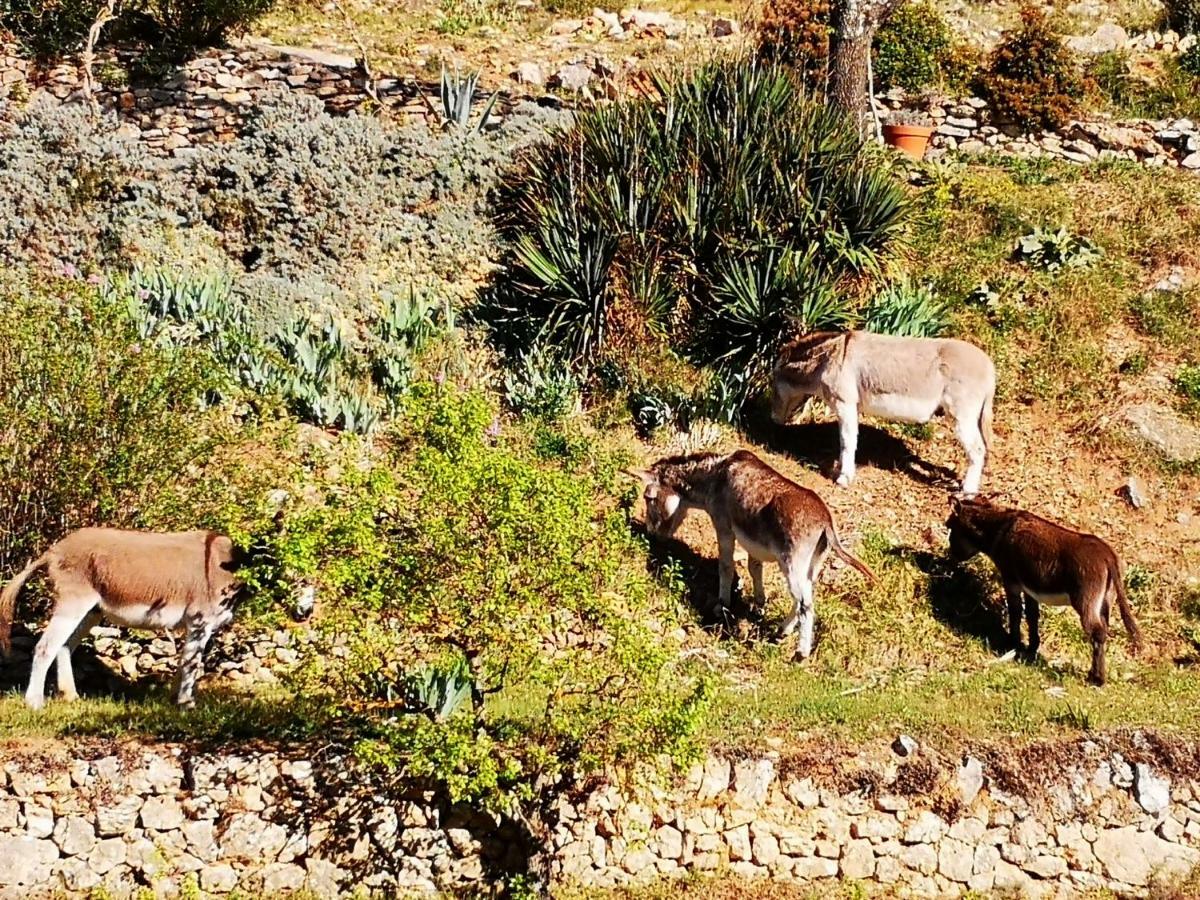 Les Git'Anes De Ponteves Vila Exterior foto